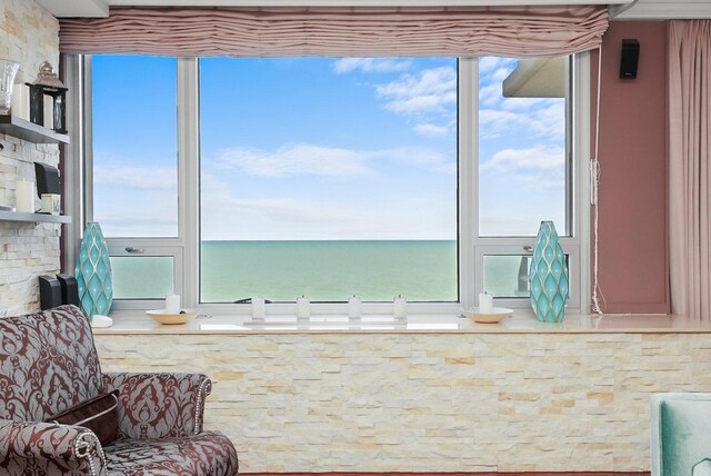 1300 N Lake Shore Dr Unit 10B, Chicago, IL 60610 - water view