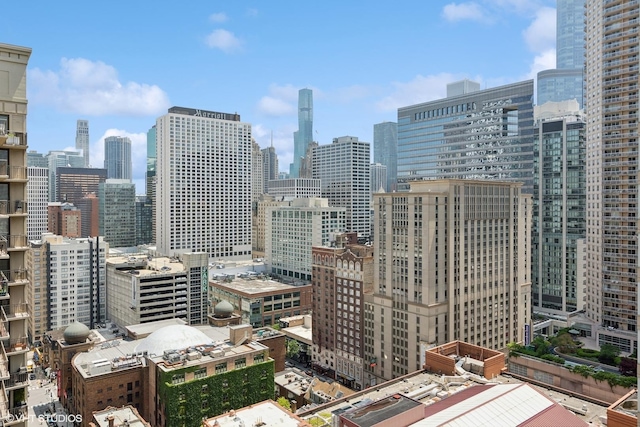 635 N Dearborn St Unit 2506, Chicago, IL 60654 - skyline view