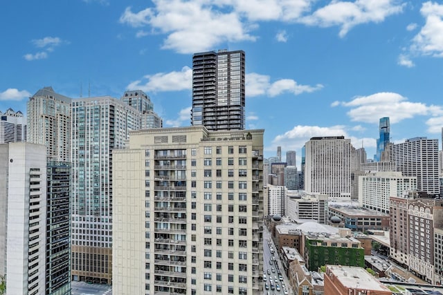 635 N Dearborn St Unit 2506, Chicago, IL 60654 - skyline view
