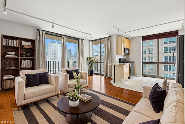 635 N Dearborn St Unit 2506, Chicago, IL 60654 - living room with track lighting, light wood-style floors, and a view of city
