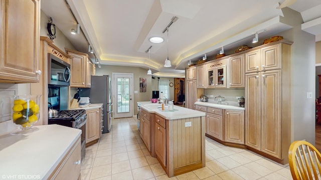 1513 Berwyn St, Spring Grove, IL 60081 - kitchen with stainless steel appliances, light countertops, a kitchen island with sink, rail lighting, and light tile patterned flooring