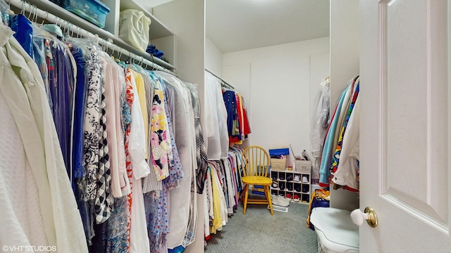 1513 Berwyn St, Spring Grove, IL 60081 - spacious closet with carpet flooring