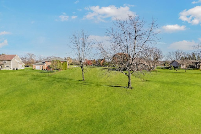 13204 Derby Rd, Lemont, IL 60439 - photo 6