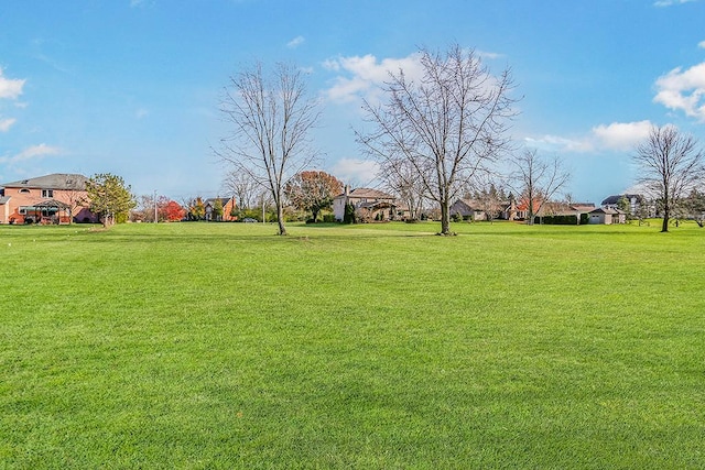 13204 Derby Rd, Lemont, IL 60439 - photo 9