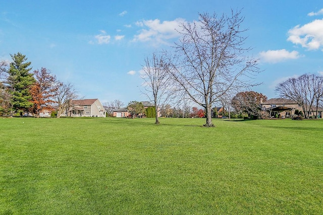 13204 Derby Rd, Lemont, IL 60439 - photo 10