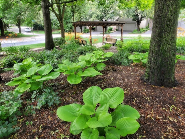 1242 Hobson Oaks Dr, Naperville, IL 60540 - photo 25