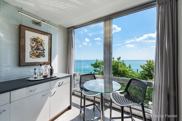 860 N Lake Shore Dr Unit 4M, Chicago, IL 60611 - photo 19