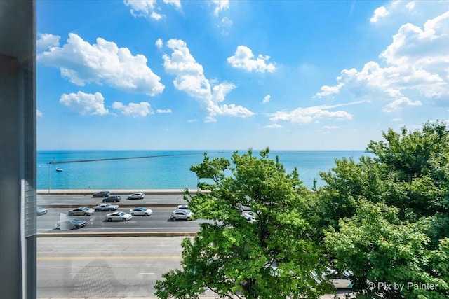 860 N Lake Shore Dr Unit 4M, Chicago, IL 60611 - photo 20