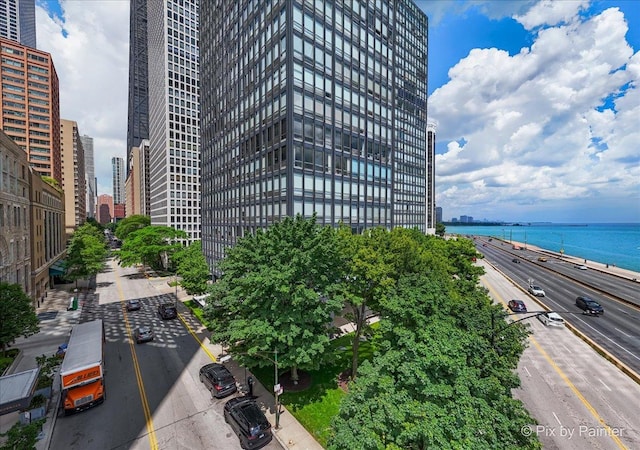 860 N Lake Shore Dr Unit 4M, Chicago, IL 60611 - photo 36