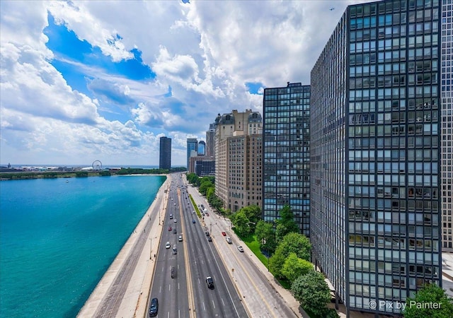 860 N Lake Shore Dr Unit 4M, Chicago, IL 60611 - photo 37