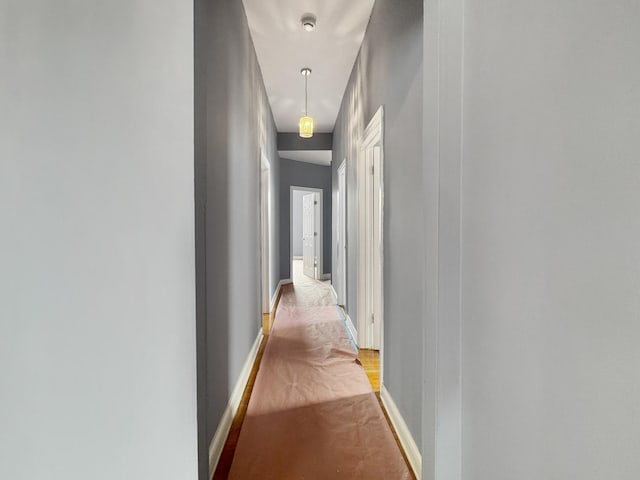 5943 S Indiana Ave, Chicago, IL 60637 - hall featuring light colored carpet and baseboards