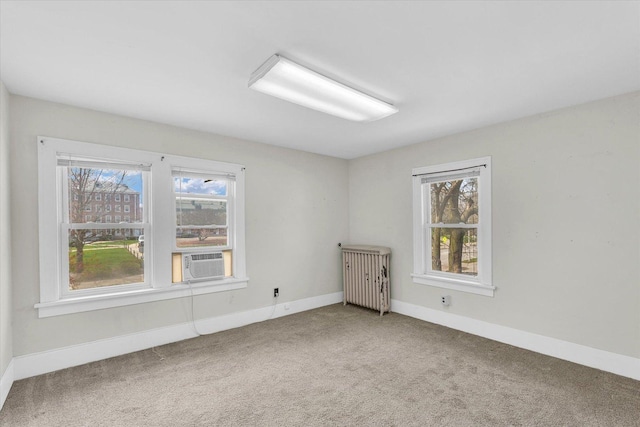 1008 S Lincoln Ave, Urbana, IL 61801 - photo 30