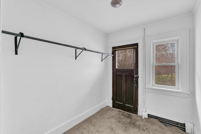 1008 S Lincoln Ave, Urbana, IL 61801 - photo 32