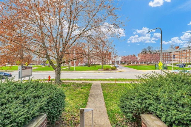 1008 S Lincoln Ave, Urbana, IL 61801 - photo 55