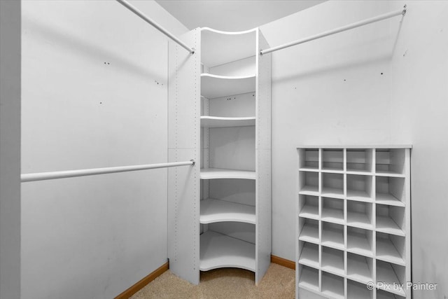 40 S Juniper Dr, North Aurora, IL 60542 - spacious closet featuring carpet floors