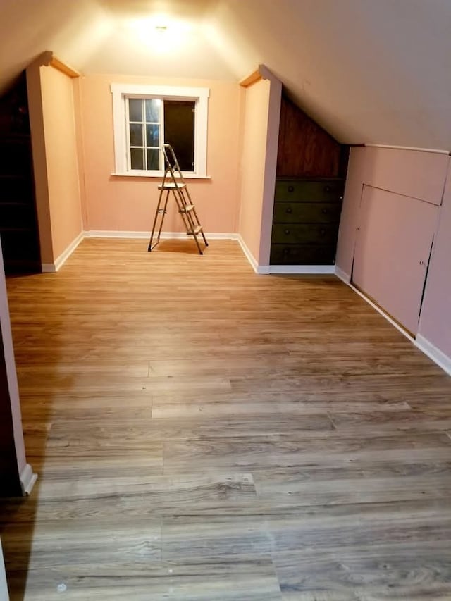 94 E Lakeview Ave, Round Lake Beach, IL 60073 - additional living space with wood finished floors and vaulted ceiling