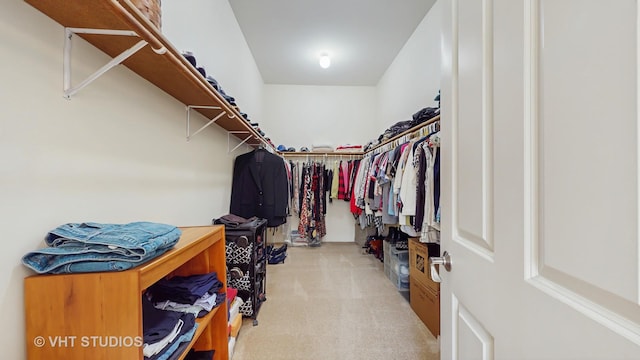 870 Legacy Rdg, Algonquin, IL 60102 - spacious closet featuring light carpet