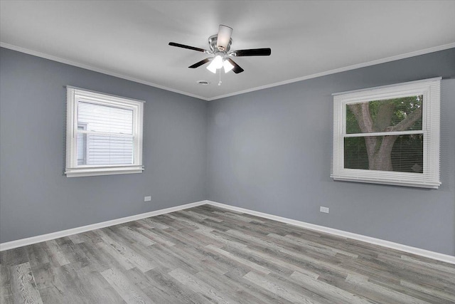 1225 King Dr, South Holland, IL 60473 - photo 14