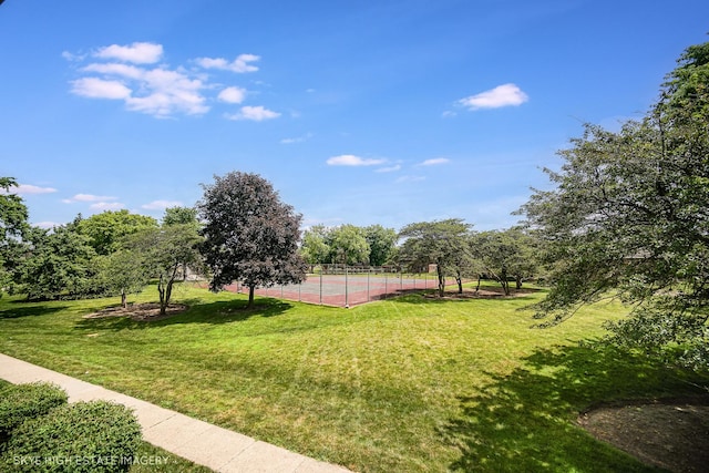128 E Bailey Rd Unit G, Naperville, IL 60565 - view of green lawn with community basketball court