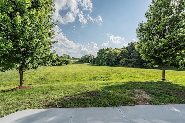 2054 S Jonathan Dr, Round Lake, IL 60073 - view of grassy yard