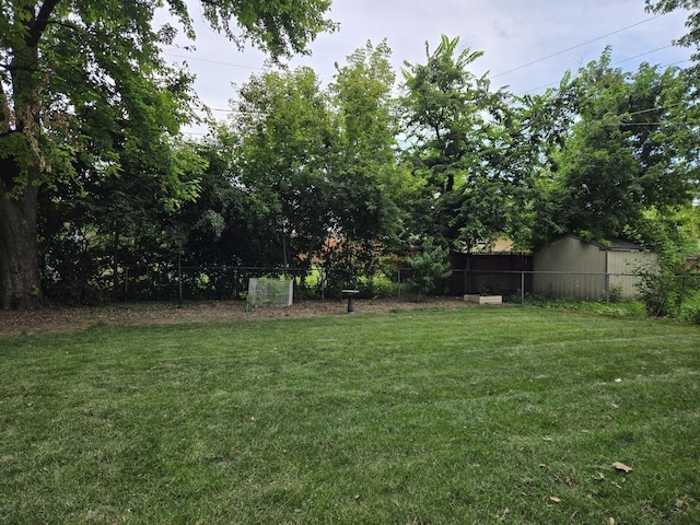 811 N Glenwood Pl, Aurora, IL 60506 - view of yard