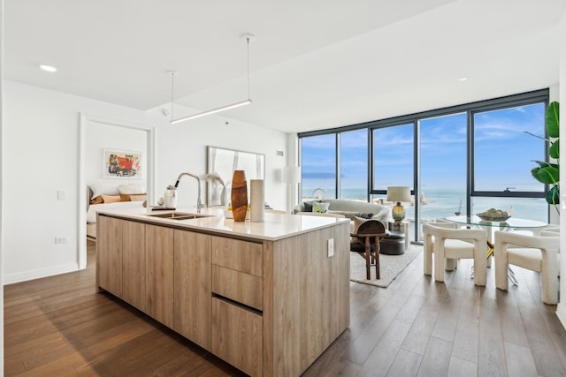 211 N Harbor Dr Unit 306, Chicago, IL 60601 - kitchen with modern cabinets, light brown cabinets, dark wood-style flooring, a center island with sink, and a wall of windows