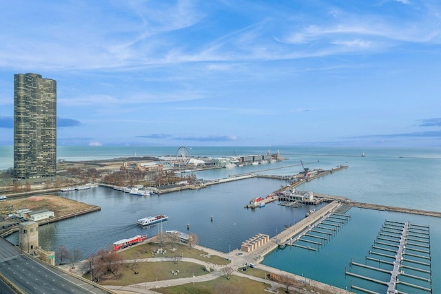 211 N Harbor Dr Unit 306, Chicago, IL 60601 - water view