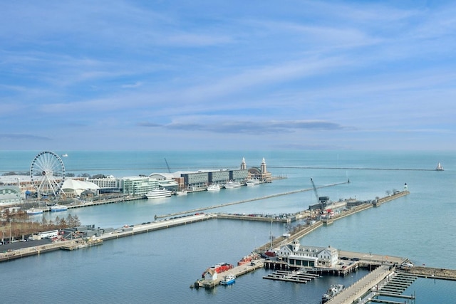211 N Harbor Dr Unit 306, Chicago, IL 60601 - water view
