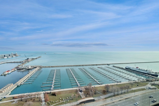 211 N Harbor Dr Unit 306, Chicago, IL 60601 - bird's eye view of a large body of water