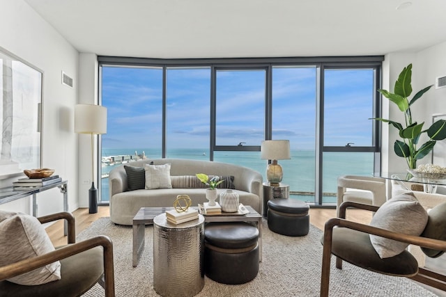211 N Harbor Dr Unit 306, Chicago, IL 60601 - living room featuring floor to ceiling windows, wood finished floors, and a water view