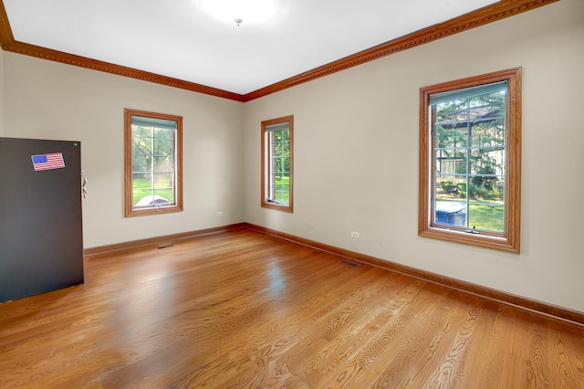 1816 Princeton Rd, Flossmoor, IL 60422 - unfurnished room featuring plenty of natural light, crown molding, and light wood-type flooring