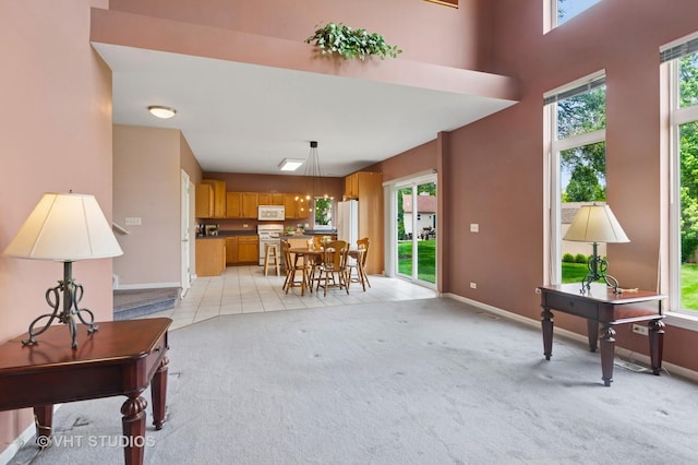 2100 Country Lakes Dr, Naperville, IL 60563 - photo 10