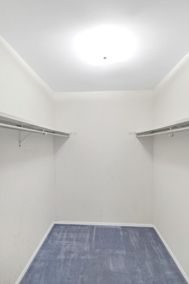 1016 Charleston Dr, Saint Charles, IL 60174 - walk in closet with carpet floors