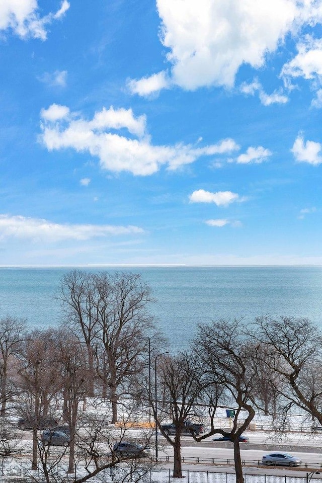 1755 E 55th St Unit 804, Chicago, IL 60615 - water view