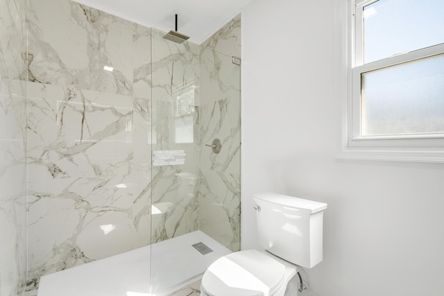 160 E Terra Cotta Ave, Crystal Lake, IL 60014 - bathroom with toilet and a marble finish shower