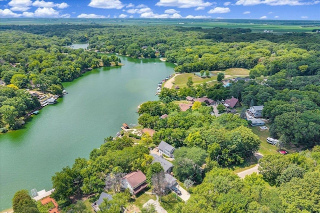 6 Barbados Ct N, Putnam, IL 61560 - drone / aerial view of a heavily wooded area and a large body of water