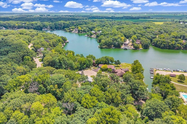 6 Barbados Ct N, Putnam, IL 61560 - bird's eye view of a nearby body of water and a heavily wooded area