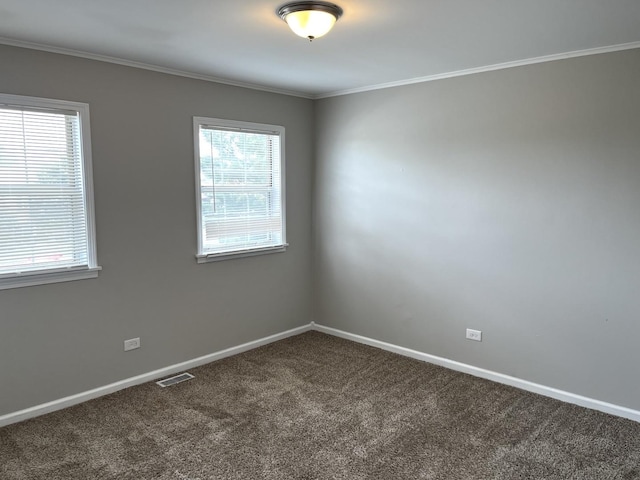 19708 S Skye Dr, Frankfort, IL 60423 - spare room with carpet flooring and crown molding