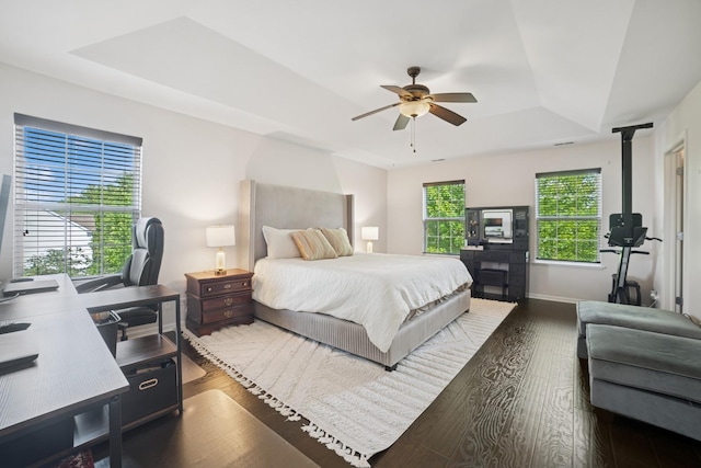 234 Cassidy Ln, Elgin, IL 60124 - bedroom with a tray ceiling, dark wood-style flooring, a desk, and a ceiling fan