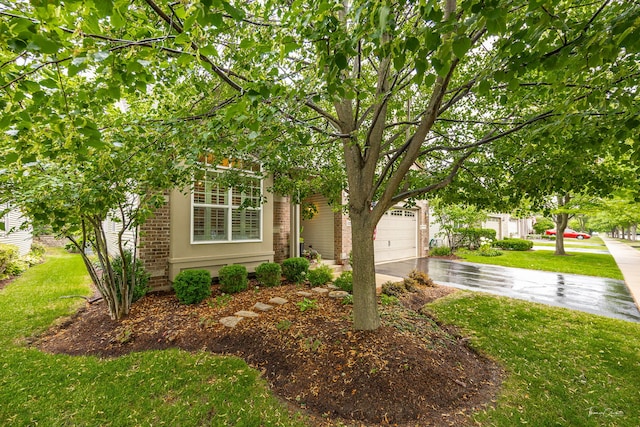 1728 Briarheath Dr, Aurora, IL 60505 - view of property hidden behind natural elements with driveway, brick siding, a front lawn, and an attached garage