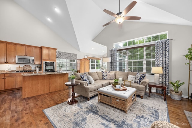 1728 Briarheath Dr, Aurora, IL 60505 - living area with high vaulted ceiling, ceiling fan, and wood finished floors