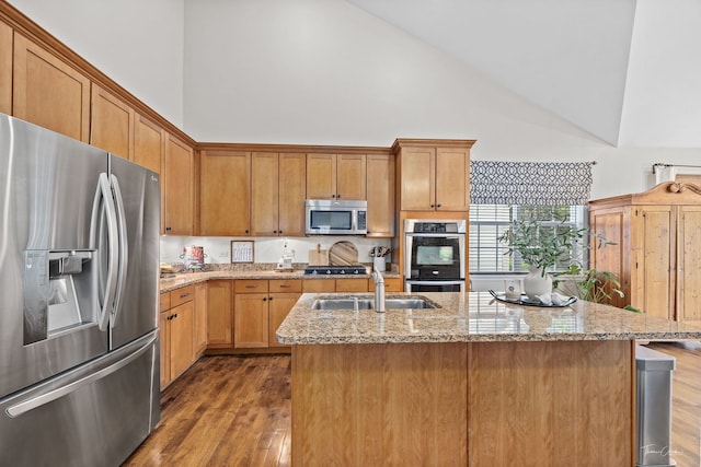 1728 Briarheath Dr, Aurora, IL 60505 - kitchen with appliances with stainless steel finishes, high vaulted ceiling, dark wood finished floors, light stone counters, and a center island with sink
