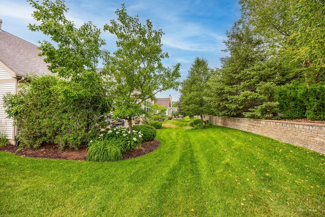 1728 Briarheath Dr, Aurora, IL 60505 - view of green lawn
