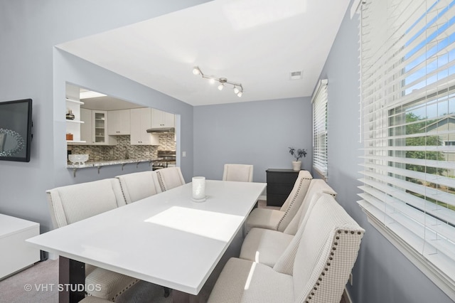209 Dublin Ln Unit Z2, Schaumburg, IL 60194 - photo 8