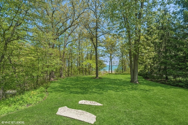 855 Sheridan Rd, Highland Park, IL 60035 - photo 52