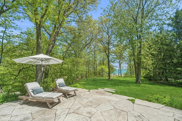 855 Sheridan Rd, Highland Park, IL 60035 - photo 54