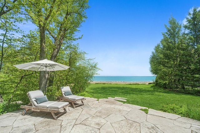855 Sheridan Rd, Highland Park, IL 60035 - photo 55