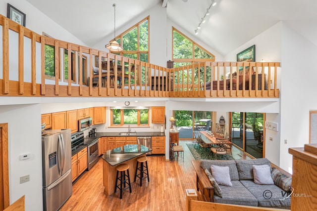 7 Vista Ridge Dr, Galena, IL 61036 - kitchen featuring appliances with stainless steel finishes, high vaulted ceiling, dark countertops, light wood-style floors, and open floor plan