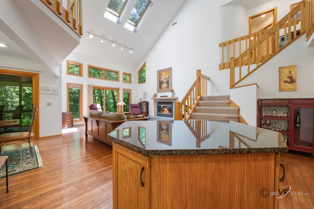 7 Vista Ridge Dr, Galena, IL 61036 - kitchen with high vaulted ceiling, rail lighting, light wood-style floors, and plenty of natural light