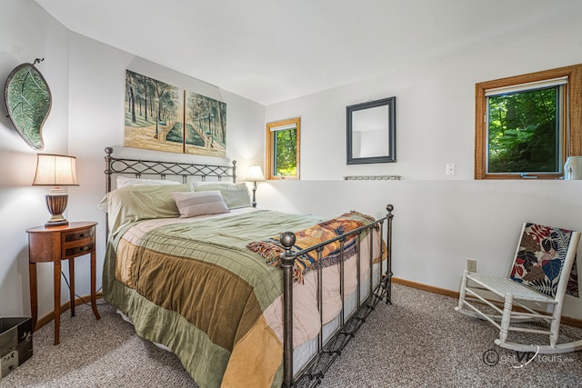 7 Vista Ridge Dr, Galena, IL 61036 - carpeted bedroom with multiple windows